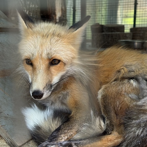 Photo #13998373