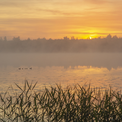 Photo #13998544
