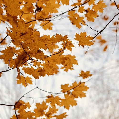 Photo #13998569