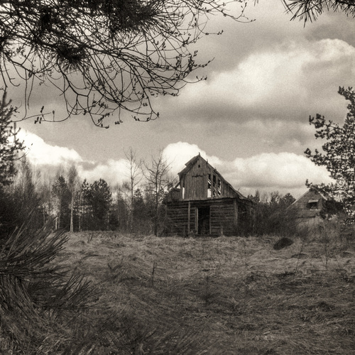 Photo #13998598