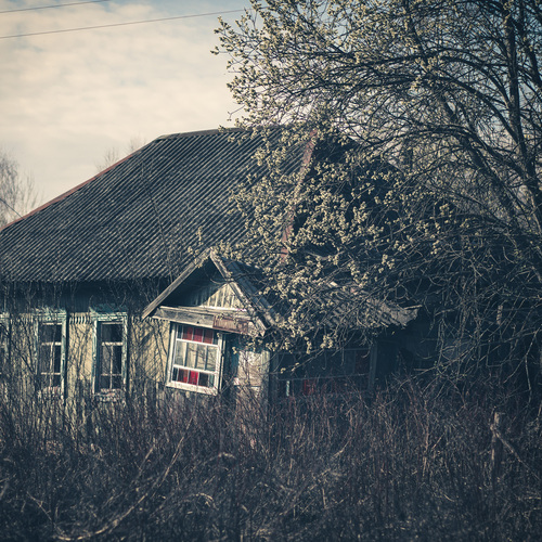 Photo #13998602