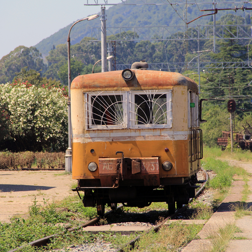Photo #13998613