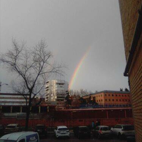 Photo #13998690