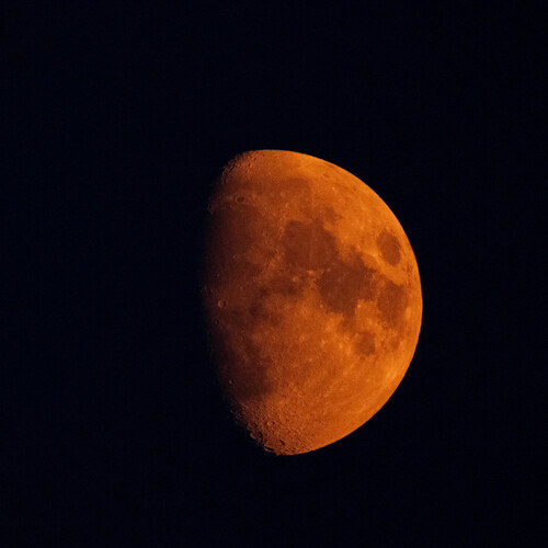 Photo #13998789