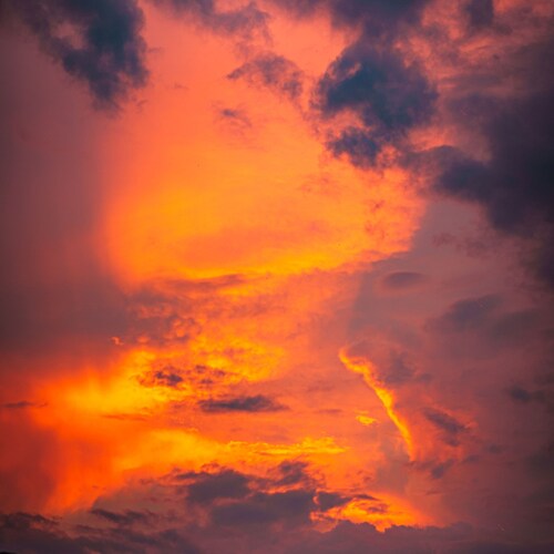 Photo #13999105