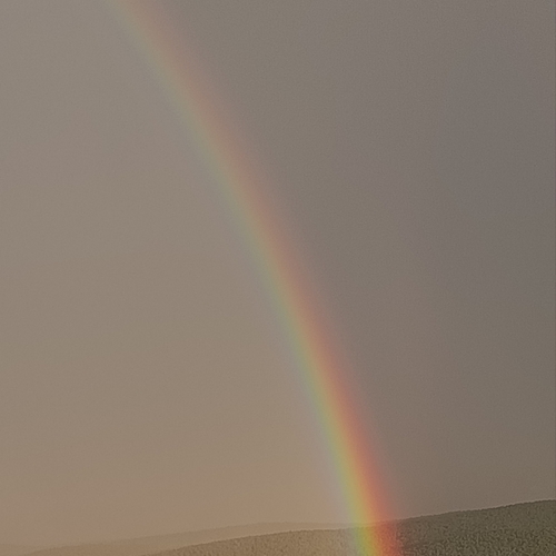 Photo #13999234
