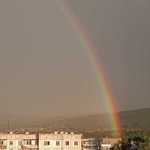 Photo #13999238