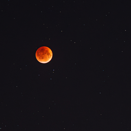 Photo #13999244