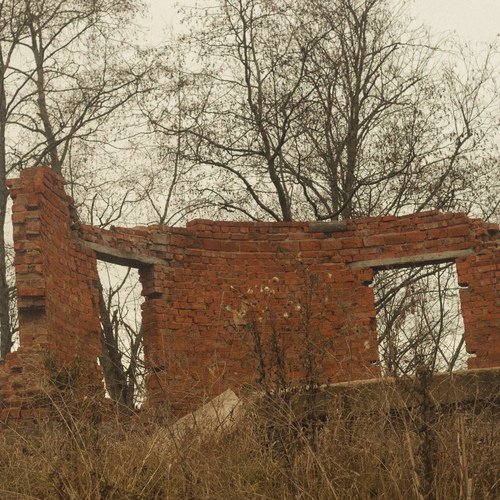 Photo #13999368