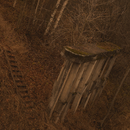 Photo #13999375