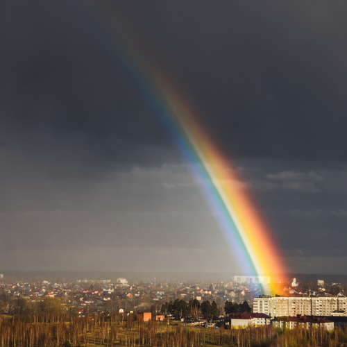 Photo #13999452