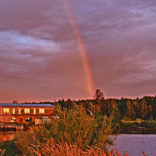 Photo #13999543