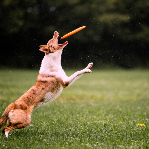Photo #13999556