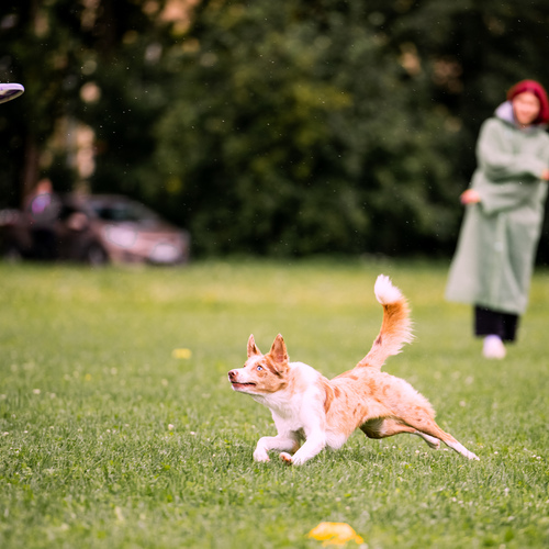 Photo #13999557
