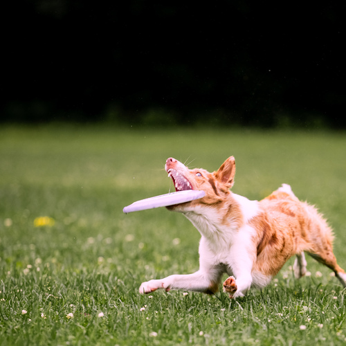 Photo #13999558