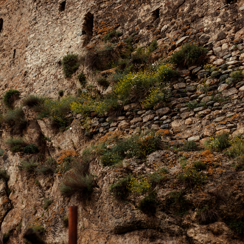 Фотография #13999587