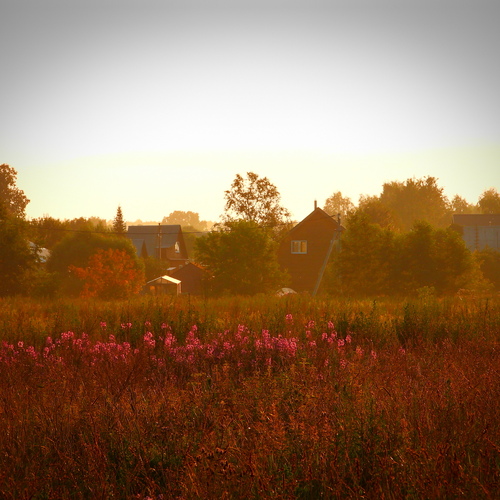 Photo #13999680