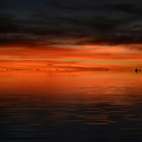 Photo #13999740