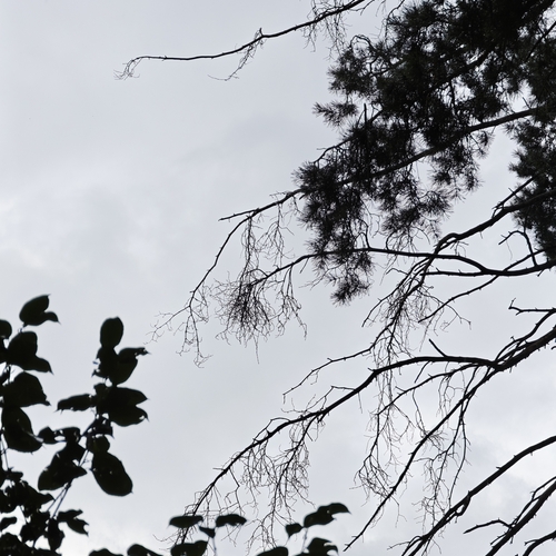 Photo #13999897