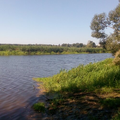 Photo #1404442