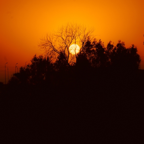 Photo #14000135