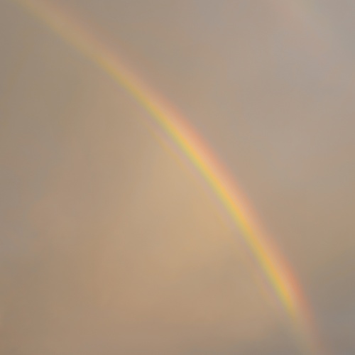 Photo #14000182