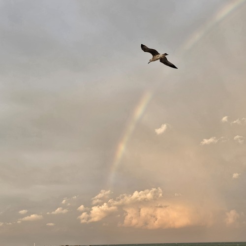 Photo #14000194