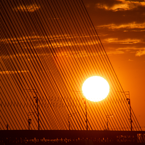 Photo #14000232