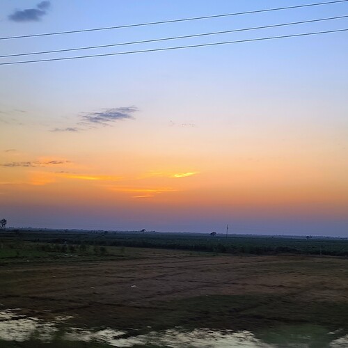 Photo #14000295