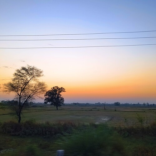 Photo #14000305