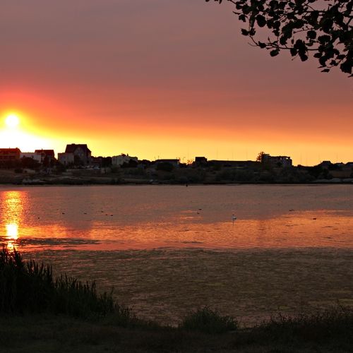 Photo #14000501