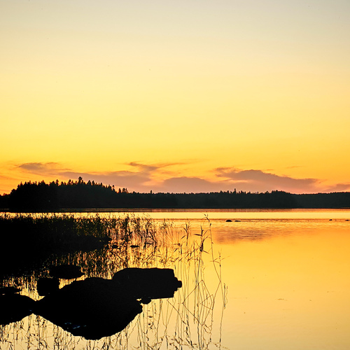 Photo #14000580