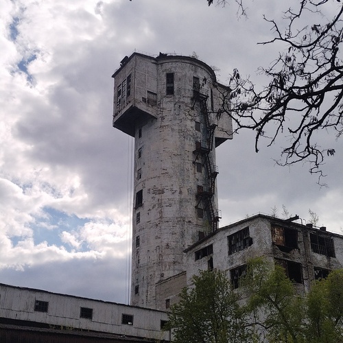 Photo #14000861