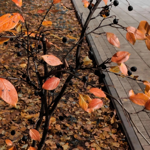 Photo #14000887