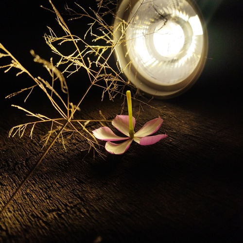 Photo #14000894