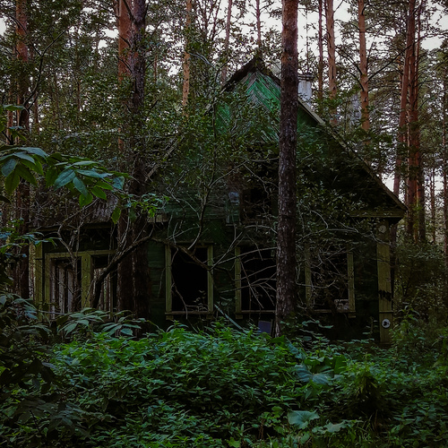 Photo #14000964