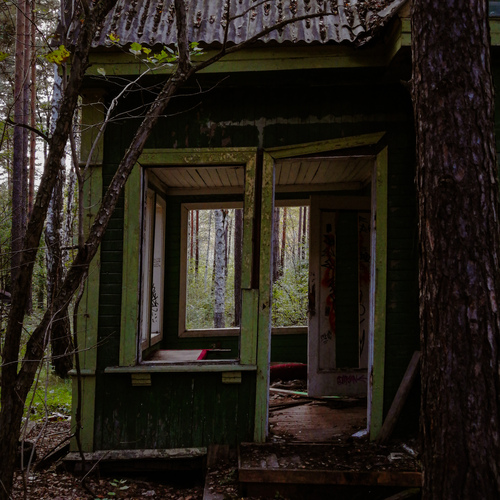Photo #14000980