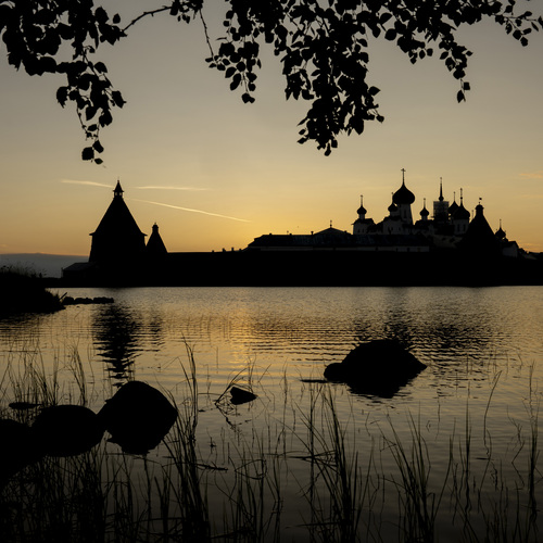 Photo #14000998
