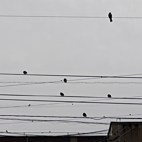 Photo #14001007