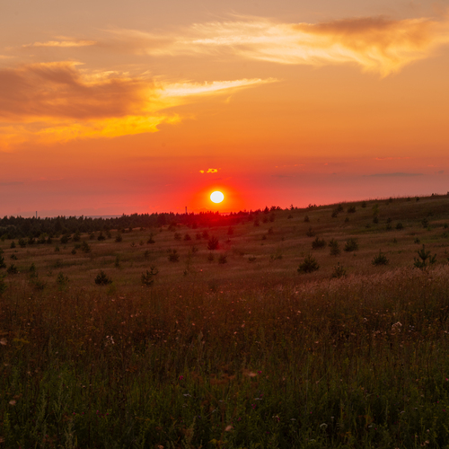 Photo #14001041
