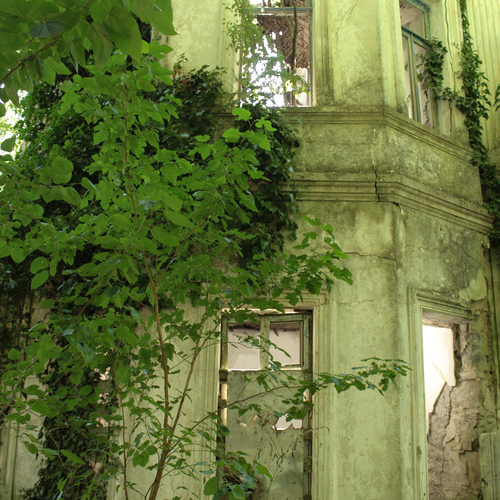 Photo #14001186