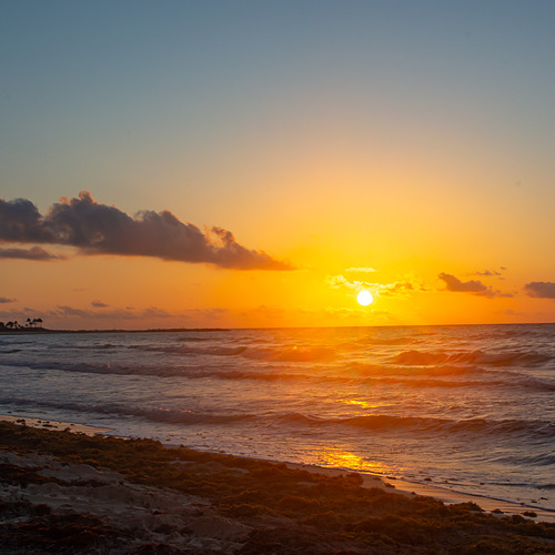 Photo #14001228