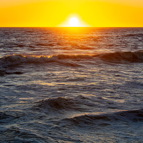 Photo #14001229
