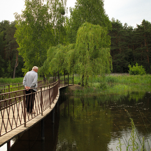 Photo #14001441