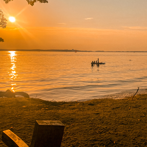 Photo #14001468