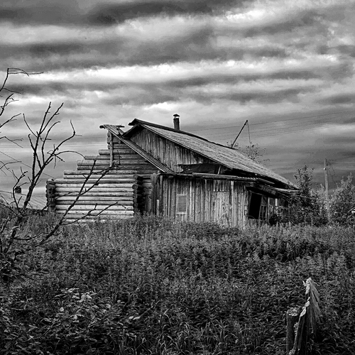 Photo #14001555