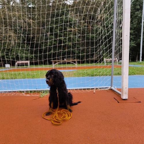 Photo #14001706