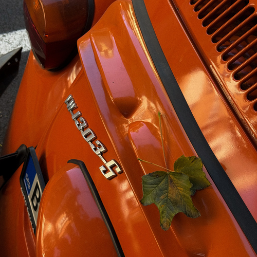 Photo #14001776