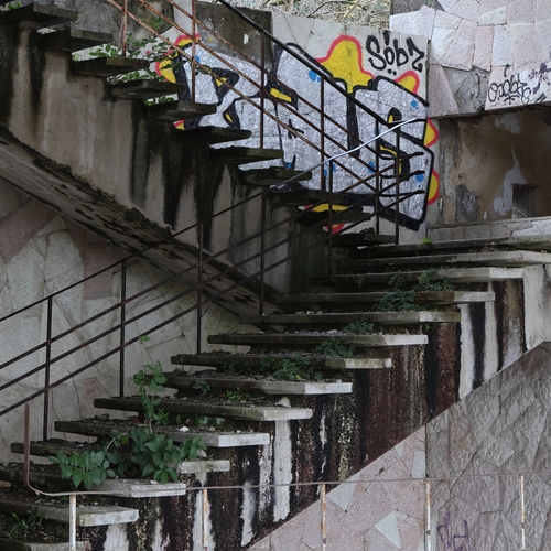 Photo #14001845
