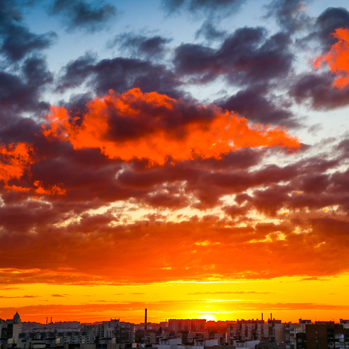 Photo #14001850